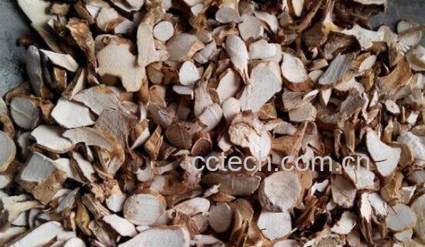 野棉花根的功效与作用胶药用价值-1