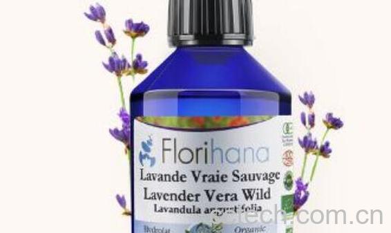 腊梅纯露的功效与作用-1