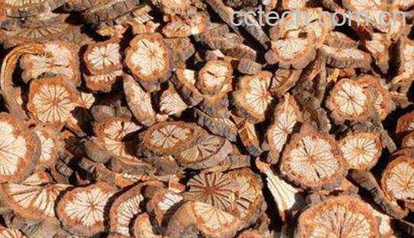 红血藤的功效与作用-0