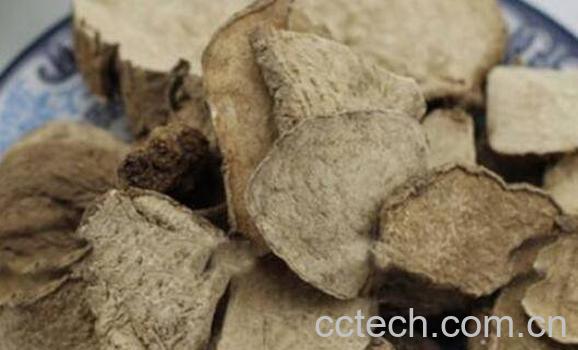 山乌龟的功效与作用-1