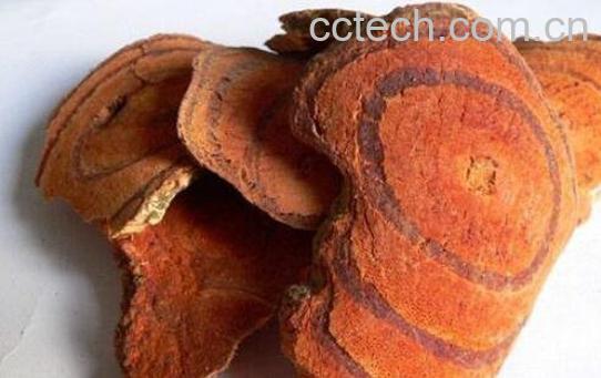 血藤泡酒的功效和作用-0