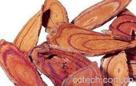 血木通的功效和作用-0