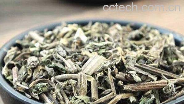 旱莲草熬水洗头的功效-1