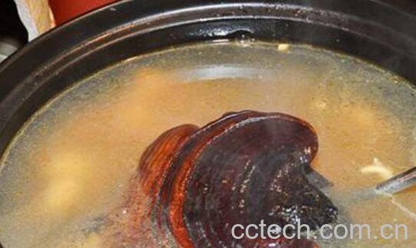 野生灵芝的功效与作用 野生灵芝的吃法-0