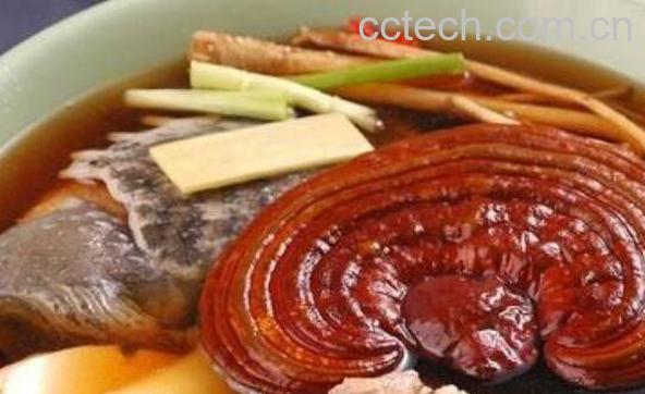 野生灵芝的功效与作用 野生灵芝的吃法-1