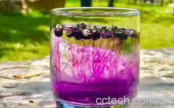 野生黑枸杞的功效和作用 野生黑枸杞泡水喝的禁忌-1