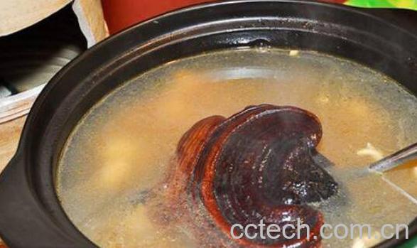 野生灵芝的功效与作用 野生灵芝怎么吃-1