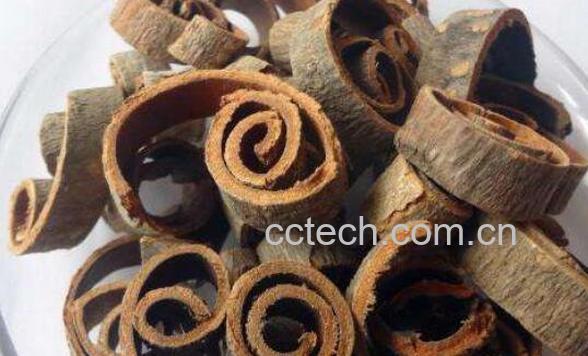 厚朴的功效与作用及药用价值-0