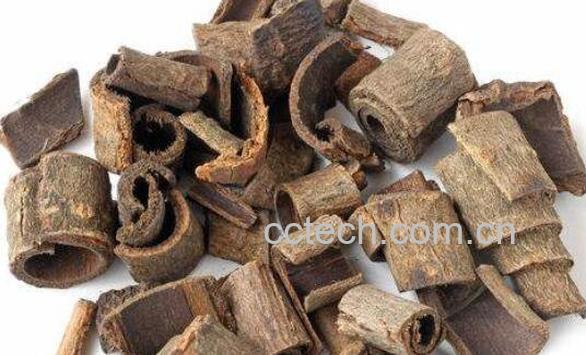 厚朴的功效与作用及药用价值-1