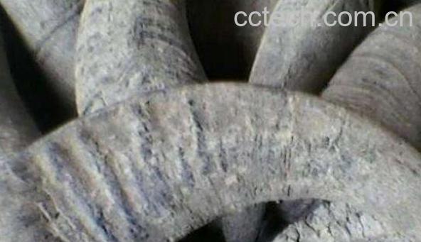 水牛角的功效与作用及药用价值-1