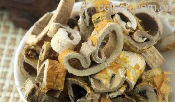 桑树根的功效与作用-0