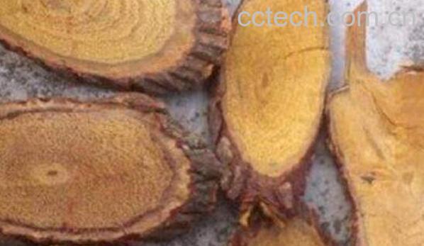 山稔根的功效与作用-1