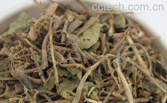 山稔根的功效与作用-0