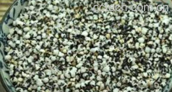 王不留行籽的功效与作用 王不留行籽的副作用-1