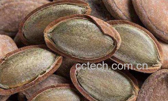 瓜蒌籽的功效和作用-1