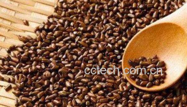 决明子的功效与作用 决明子的副作用-1