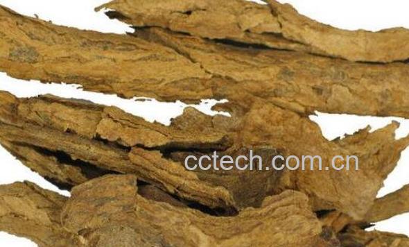 枸杞根的功效与作用及药用价值-0