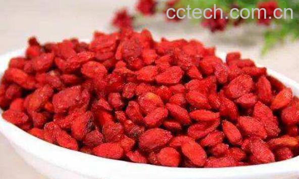 枸杞子怎么吃可以补肾 枸杞怎么吃补肾效果最好-1