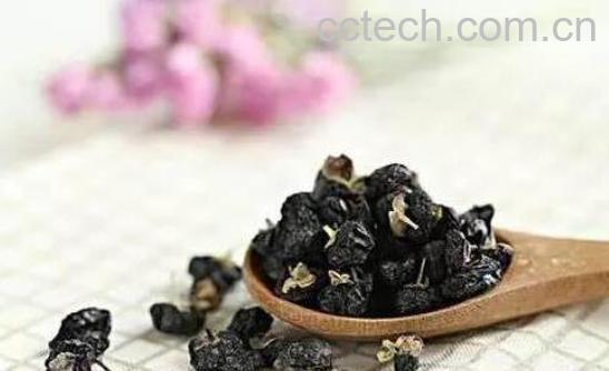 黑枸杞如何吃 黑枸杞的正确吃法和步骤-0