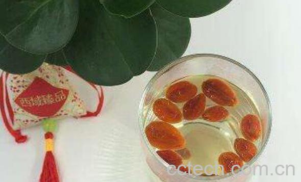 枸杞如何泡水喝 枸杞泡水喝的正确方法-1