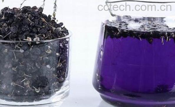 黑枸杞如何泡水喝 黑枸杞泡水喝的禁忌-0