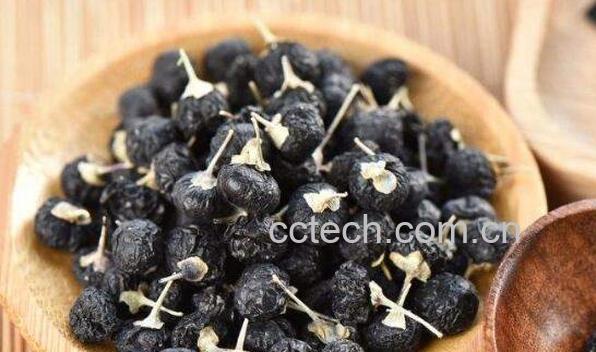 黑枸杞的功效与作用 黑枸杞怎么吃-0