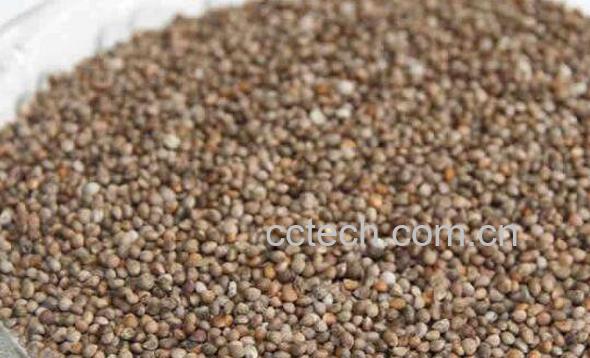 苏麻子的功效与作用-0