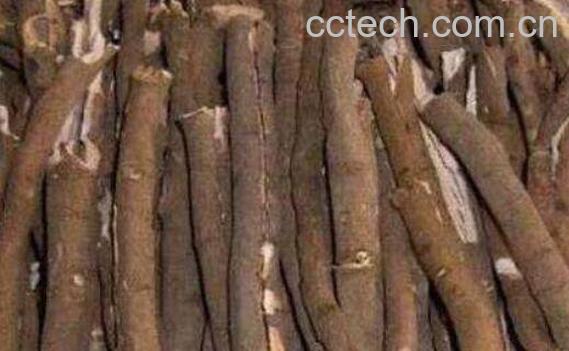 丹皮如何吃 丹皮的食用禁忌-0