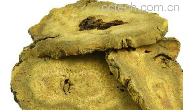 大黄的功效与作用 大黄泡水喝有什么功效-1