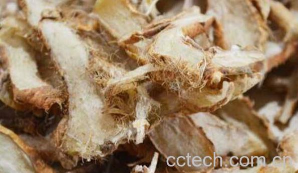 知母的功效与作用及副作用-0