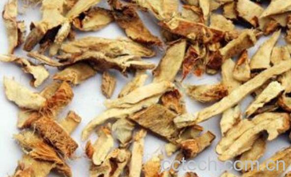 知母的功效与作用及副作用-1