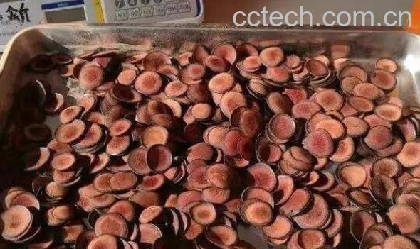 新鲜带血的鹿茸怎么吃 带血新鲜鹿茸怎么泡酒-1