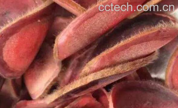 鲜鹿茸怎么吃效果好 鲜鹿茸怎么处理-1