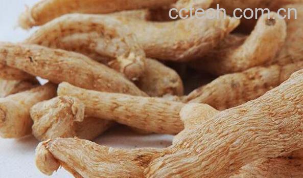 天麻的功效与作用 女人吃天麻的好处-1