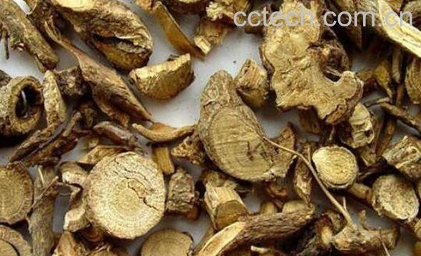 山捻子根的功效与作用-0