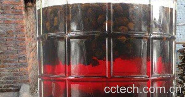 桃金娘泡酒有什么功效-1