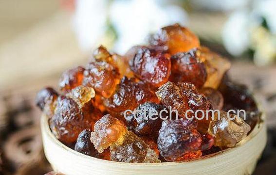 桃胶的功效与作用 女性吃桃胶有什么好处-1