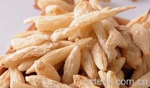 麦冬的功效与作用 麦冬的吃法-1