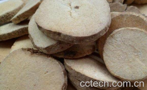 泽泻的功效与作用 泽泻的药用价值-1