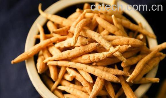 太子参的功效与作用及药用价值-0