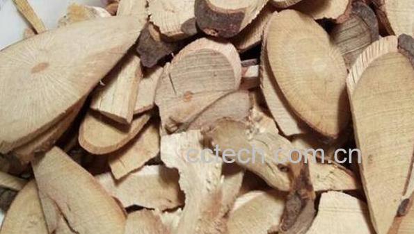 刺泡儿根的功效与作用-1