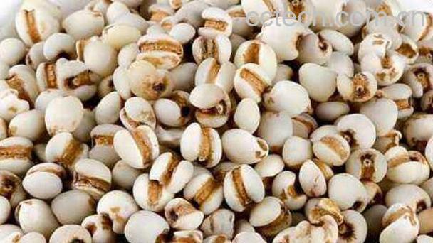 薏米的功效与作用 薏米的吃法-0