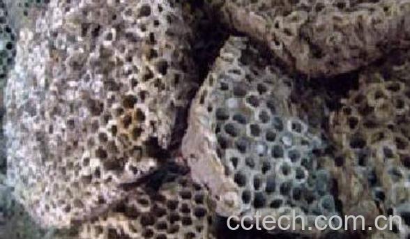 马蜂巢泡酒的功效和作用-1