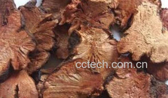 苦荞头的功效与作用-1