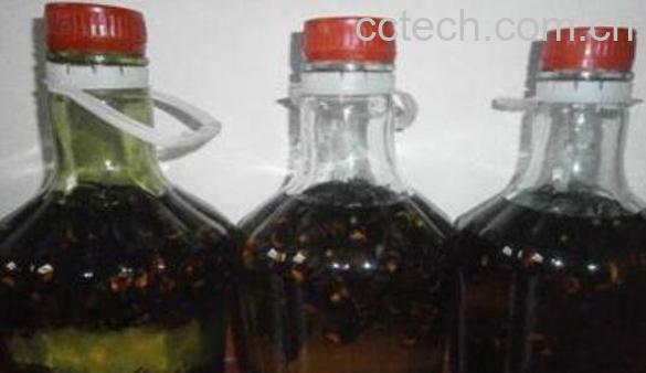 黄蜂酒的功效与作用-0