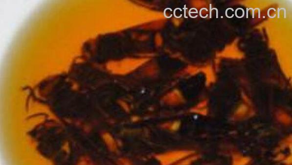 大黄蜂泡酒作用与功效-0