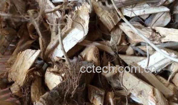 黄皮树根的功效和作用-0