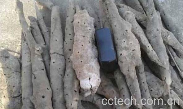 紫梢花的功效与作用及药用价值-1