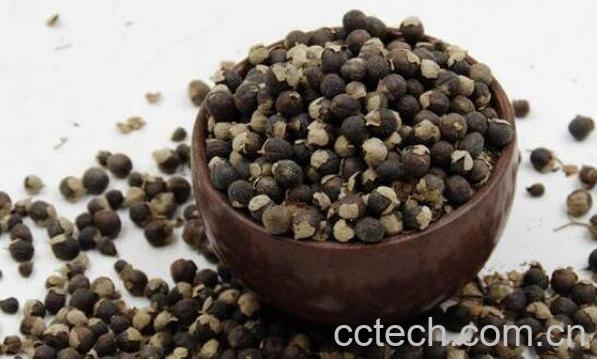 蔓荆子的功效与作用及食用方法-1