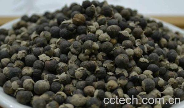 蔓荆子的功效与作用及食用方法-0